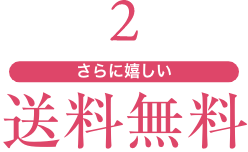 2 さらに嬉しい送料無料