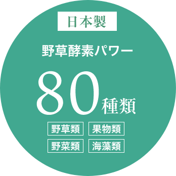 日本製　野草酵素パワー80種類　野草類、果物類、野菜類、海藻類