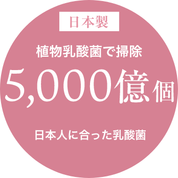 日本製　植物乳酸菌で掃除5000億個　日本人に合った乳酸菌